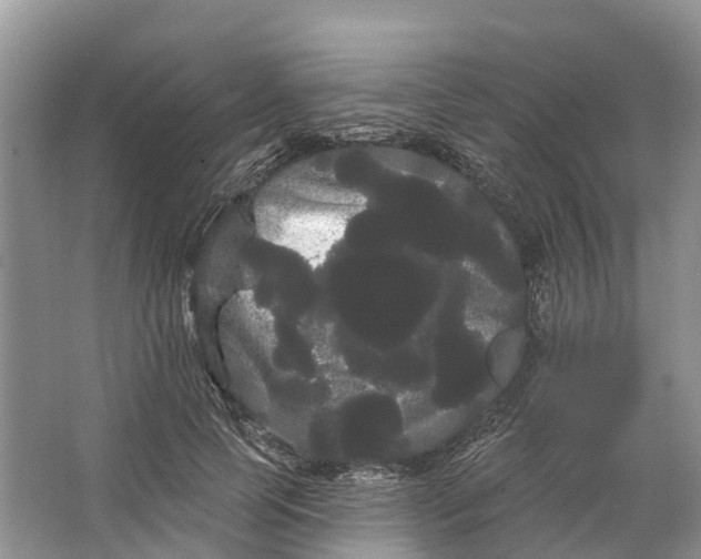 X0000066120745200603241609