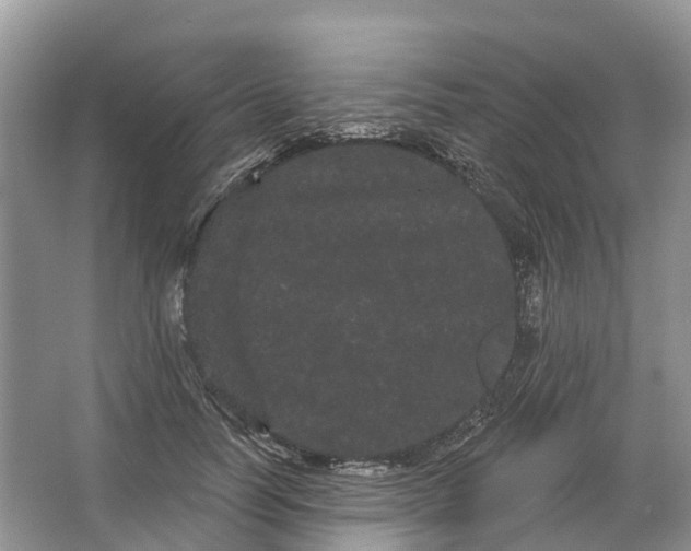 X0000066120746200603241609