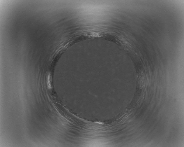 X0000066120747200603241610