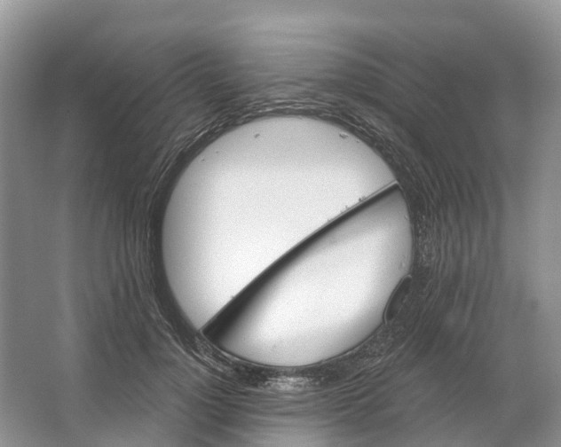 X0000066120748200603241610