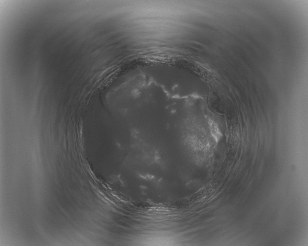 X0000066120749200603241610