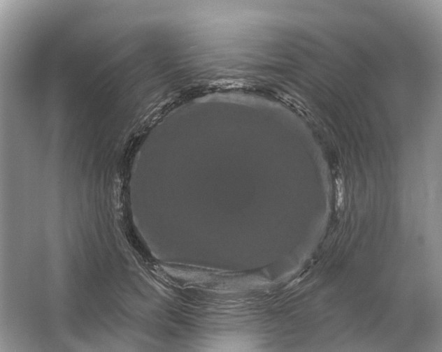 X0000066120750200603241610