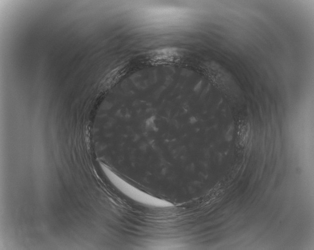 X0000066120753200603241610