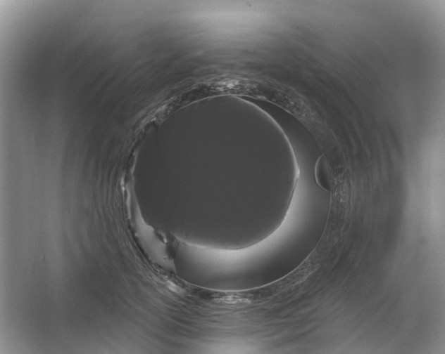 X0000066120754200603241610