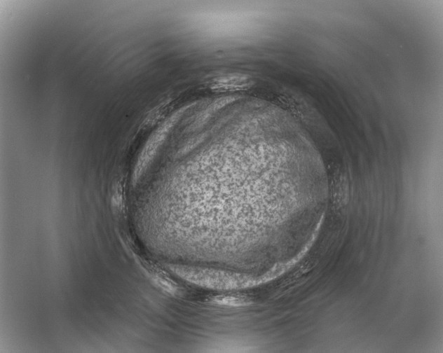 X0000066120755200603241610