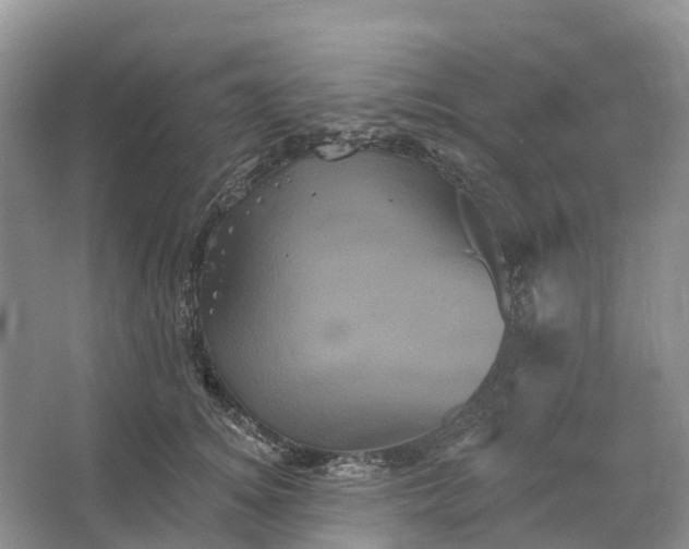 X0000066120756200603241610