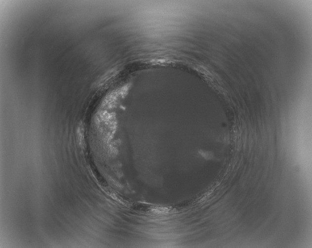 X0000066120757200603241610