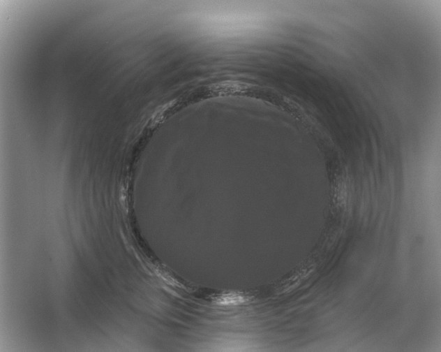 X0000066120759200603241610