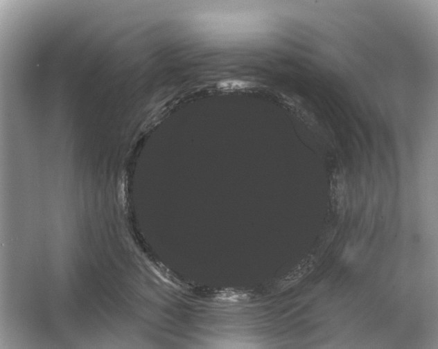 X0000066120760200603241610