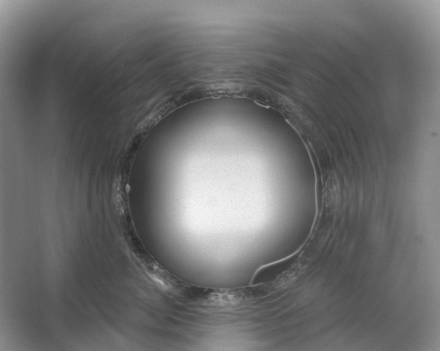 X0000066120764200603241610