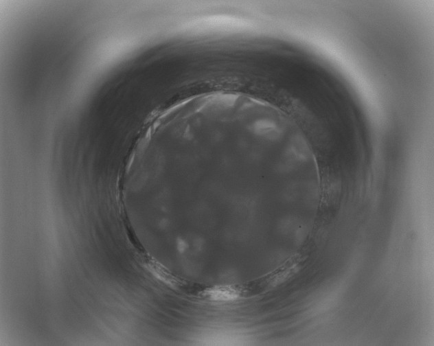 X0000066120765200603241610