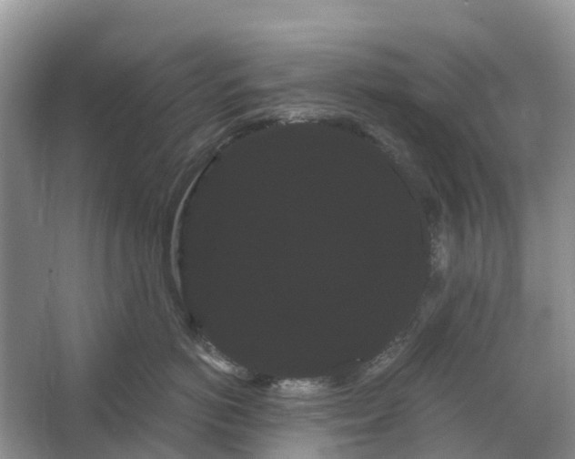 X0000066120766200603241610