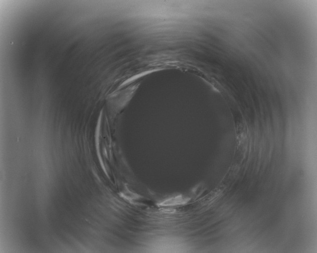 X0000066120767200603241610