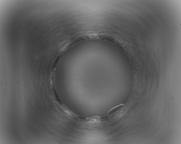 X0000066120768200603241610