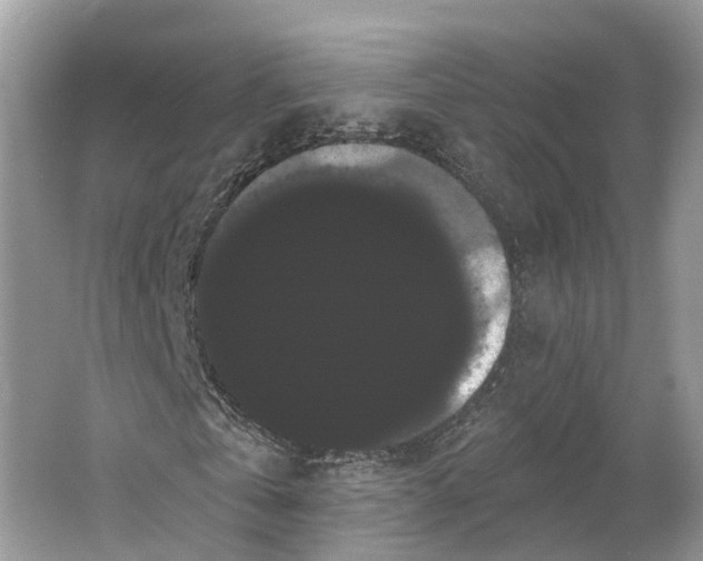 X0000066120769200603241609