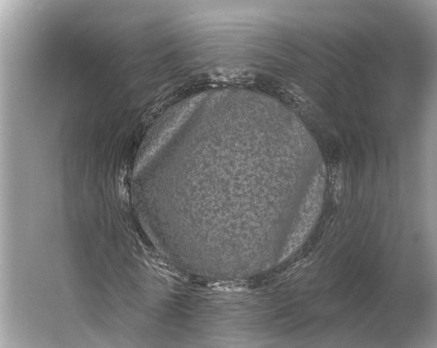 X0000066120770200603241609