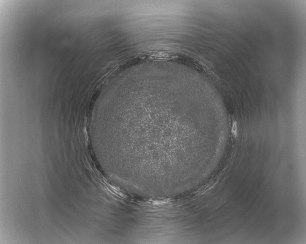 X0000066120771200603241609