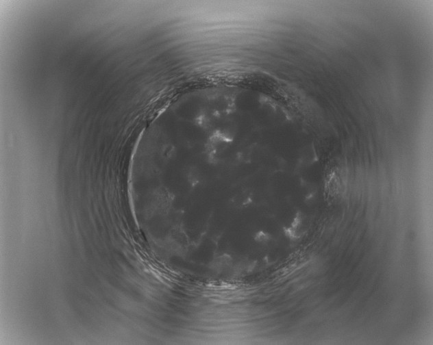 X0000066120772200603241609