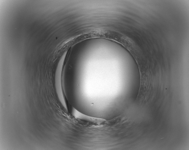 X0000066120773200603241609