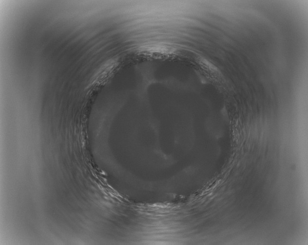 X0000066120774200603241609