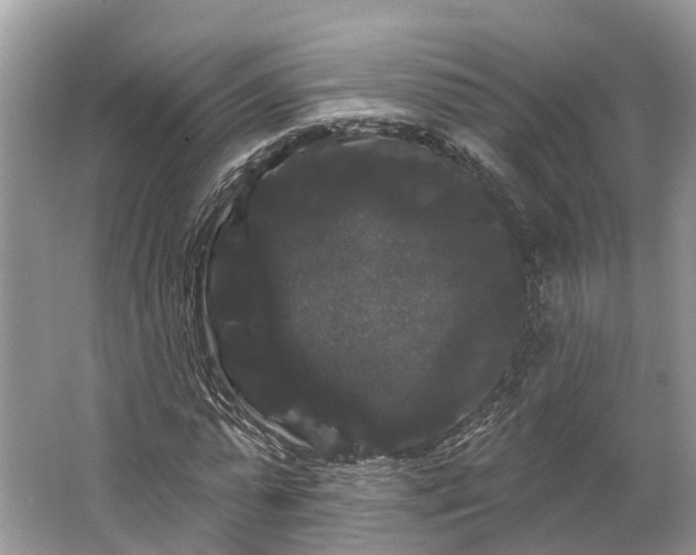 X0000066120775200603241609