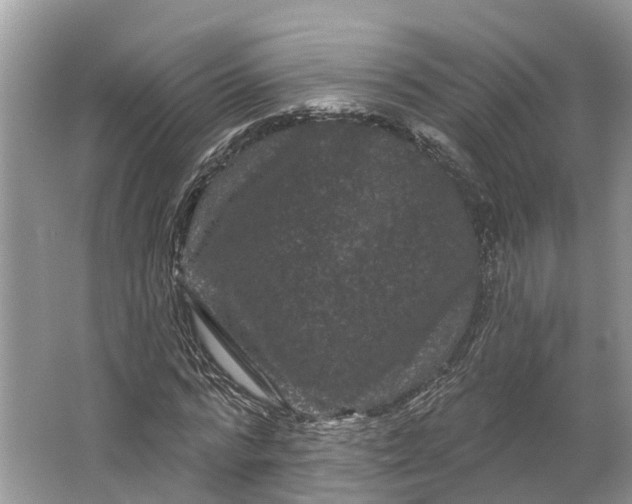 X0000066120776200603241609