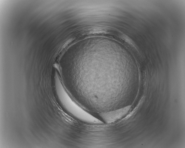 X0000066120777200603241609