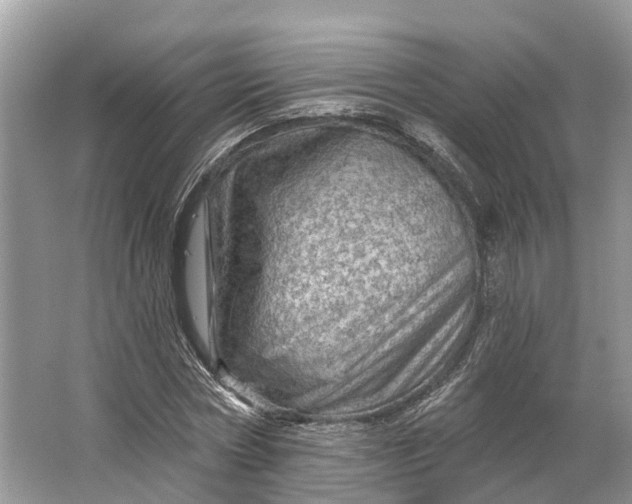 X0000066120778200603241609