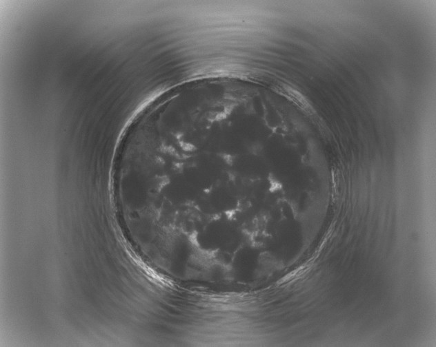 X0000066120780200603241609