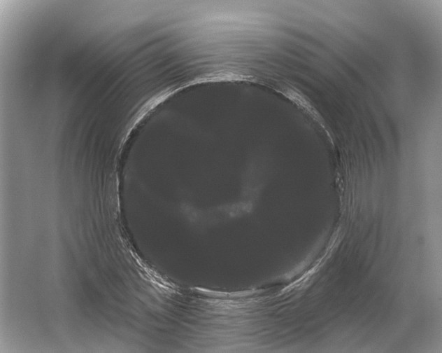 X0000066120781200603241609