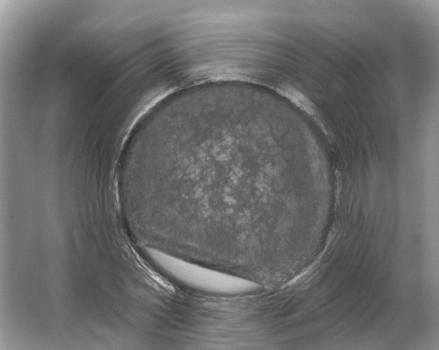 X0000066120782200603241609