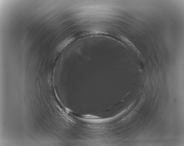 X0000066120785200603241609