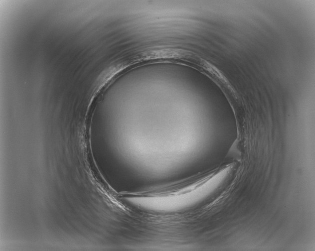 X0000066120786200603241609