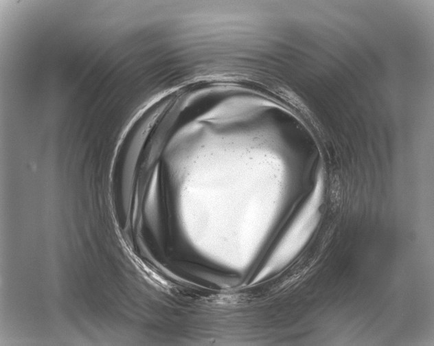 X0000066120787200603241609