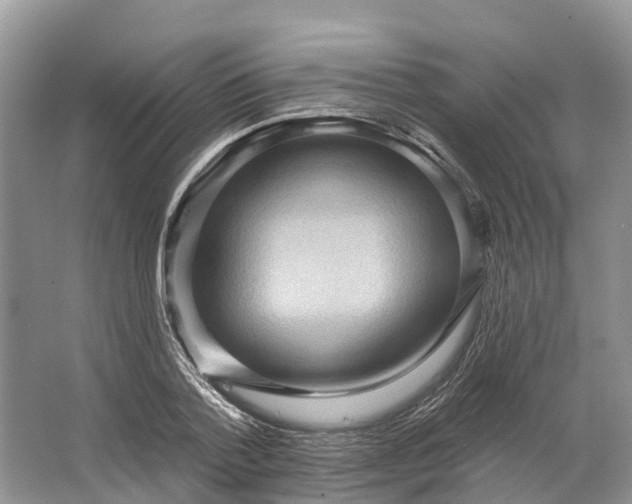 X0000066120788200603241609