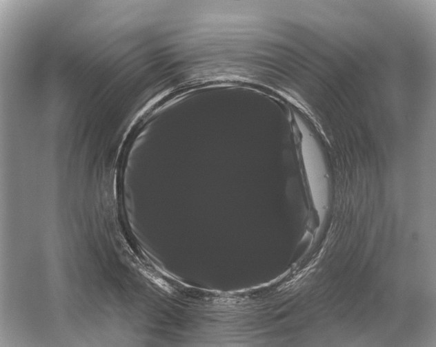 X0000066120790200603241609