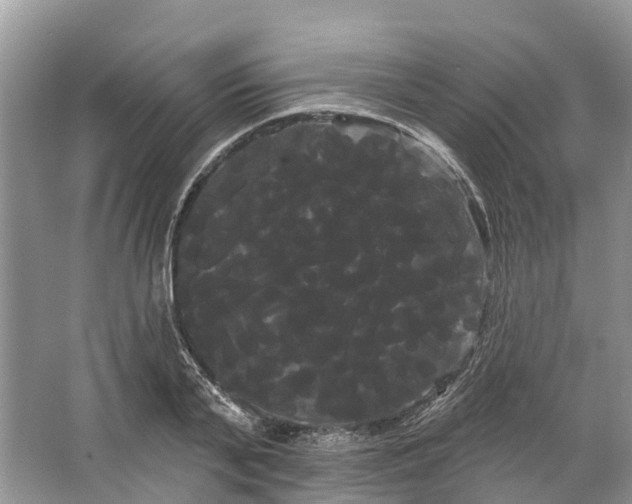 X0000066120791200603241609