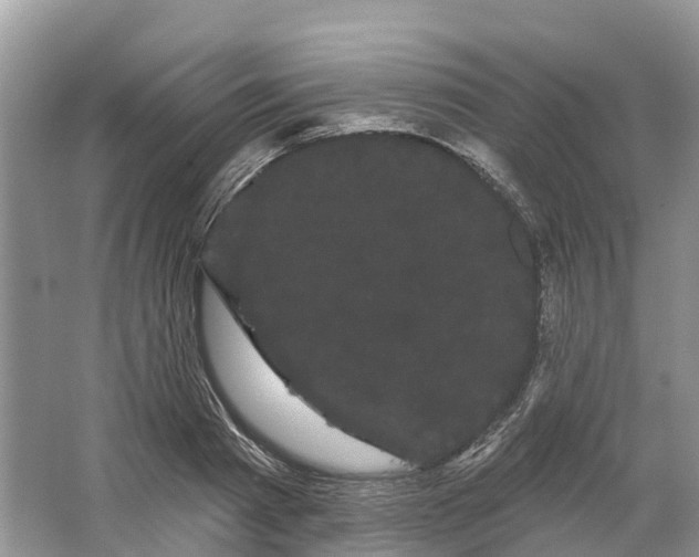 X0000066120793200603241609