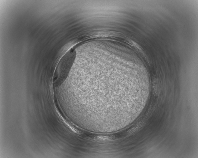 X0000066120794200603241609