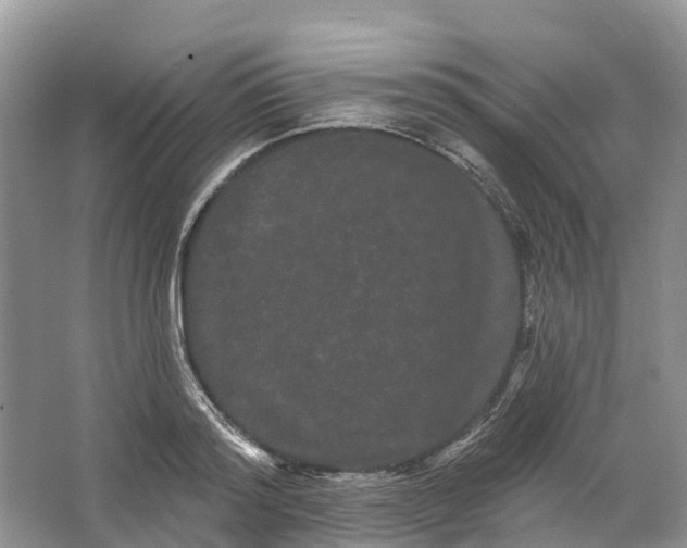 X0000066120796200603241609