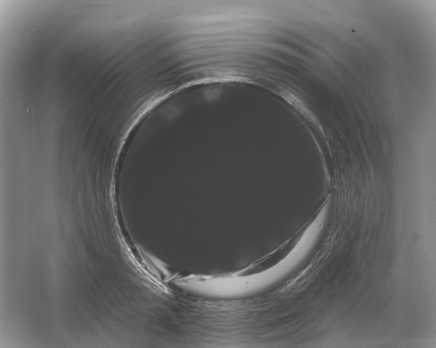 X0000066120797200603241609