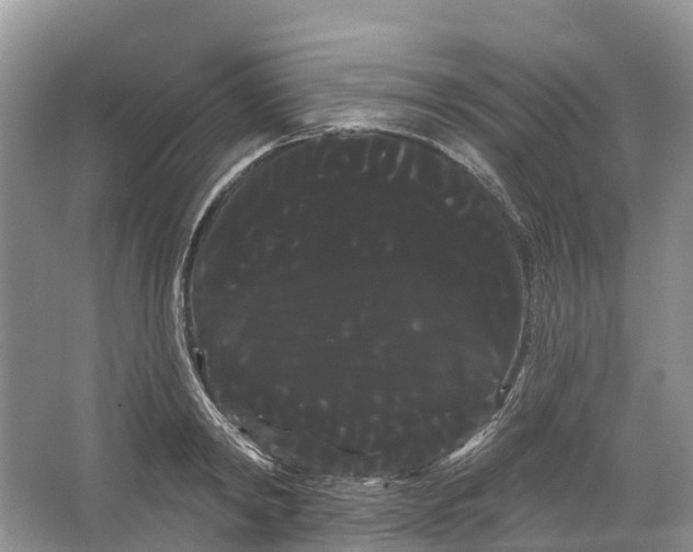 X0000066120798200603241609