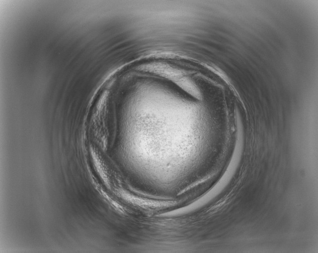 X0000066120799200603241609