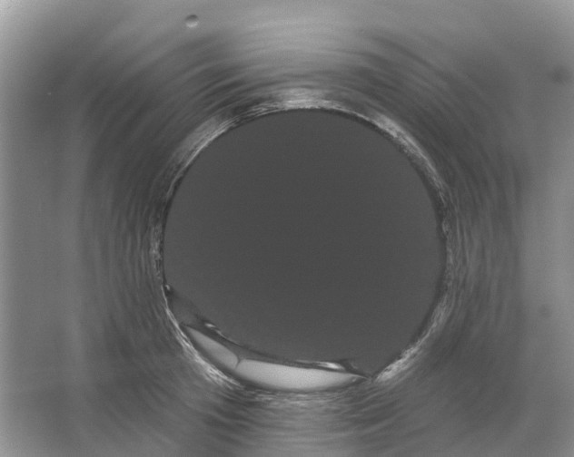 X0000066120801200603241609