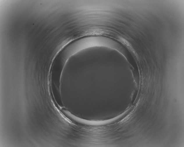 X0000066120802200603241609