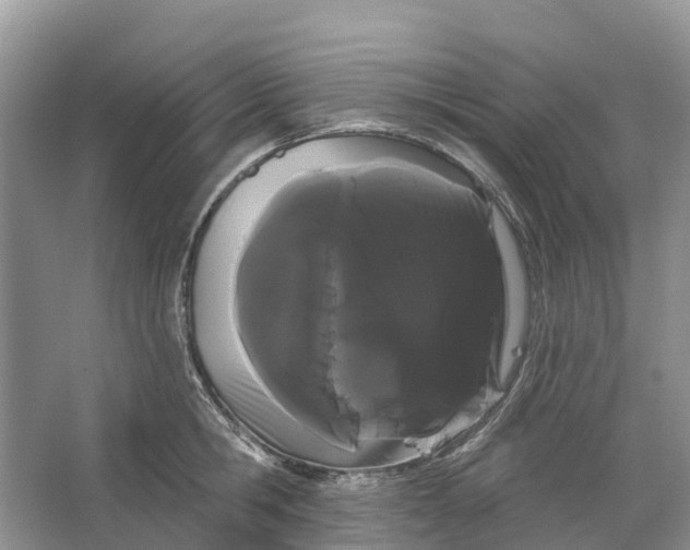 X0000066120806200603241608