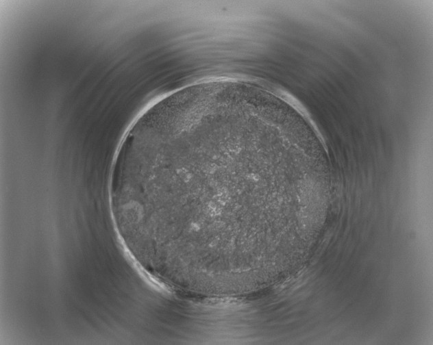 X0000066120811200603241608