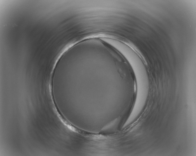 X0000066120813200603241608