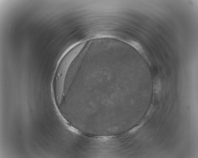 X0000066120814200603241608