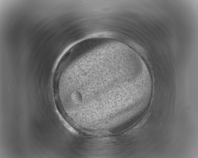 X0000066120816200603241608